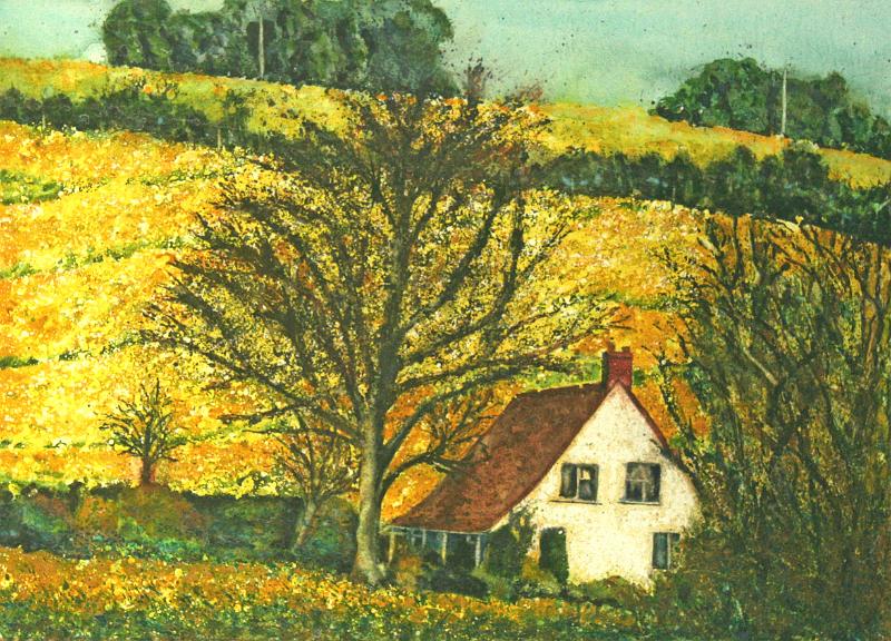 Rape Seed.jpg - "Rape Seed" - by Stewart Robertshaw A field of rape in Gloucester
